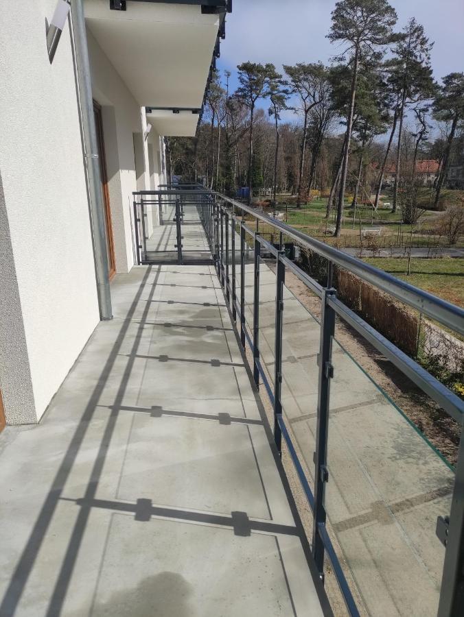 Ddc Apartament *