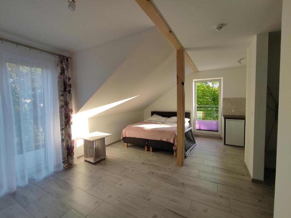 Apartament Ddc