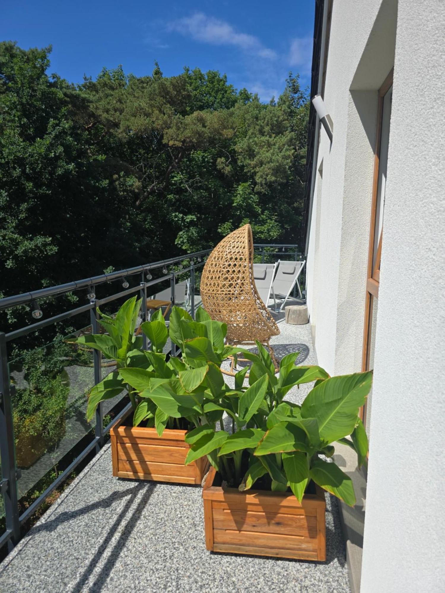 Ddc Apartament *